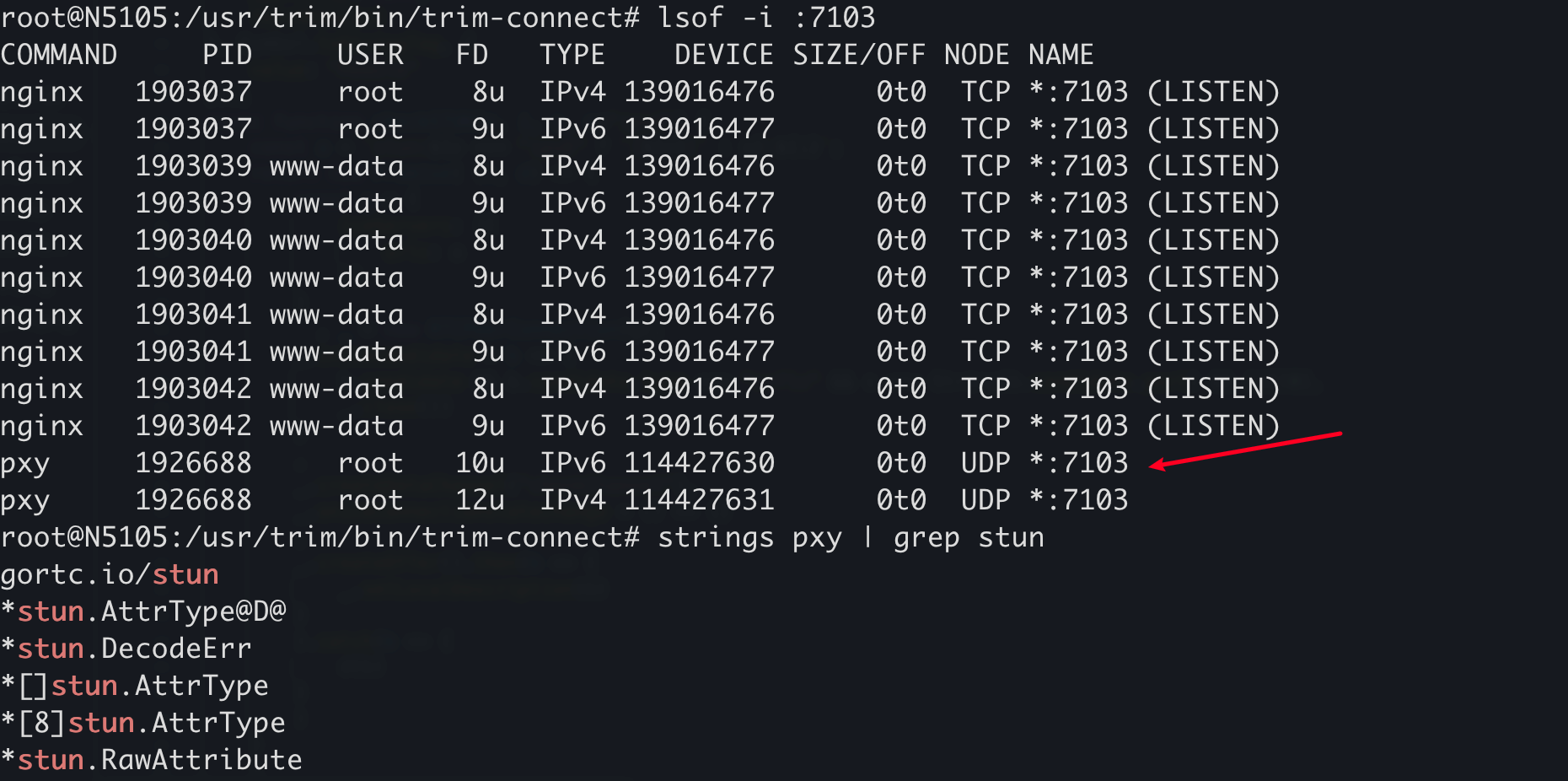 image-20251123141032918